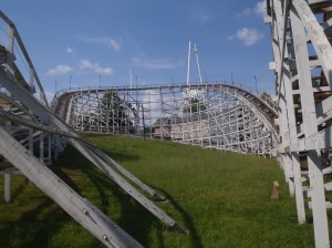 Wildcat reconstruction